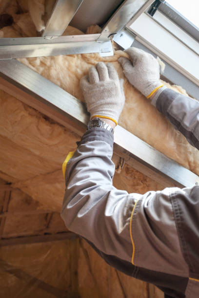 Types of Insulation We Offer in Carthage, MS